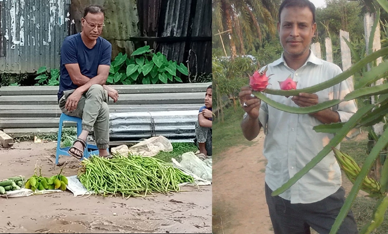 হাটে কচুর লতি বিক্রি নিয়ে মুখ খুললেন বিশ্ববিদ্যালয় অধ্যাপক